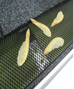 Plastic Gutter Mesh with Gutter Clip for Gutter in Eave of House, Villa